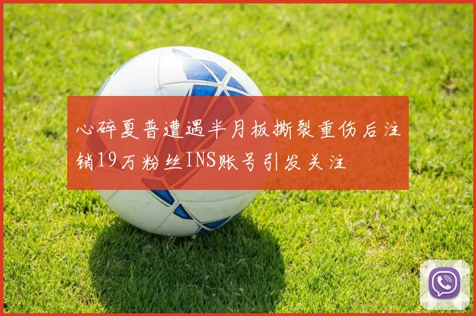 心碎夏普遭遇半月板撕裂重伤后注销19万粉丝INS账号引发关注